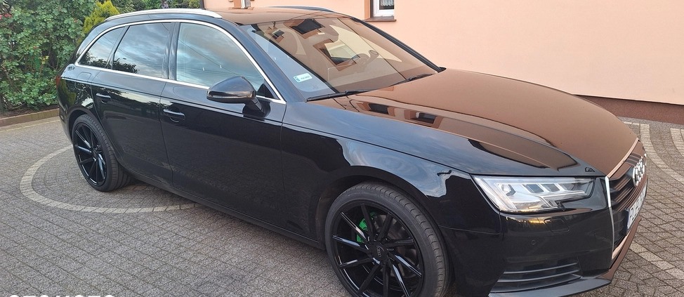 Audi A4 cena 77800 przebieg: 222000, rok produkcji 2016 z Rydzyna małe 67